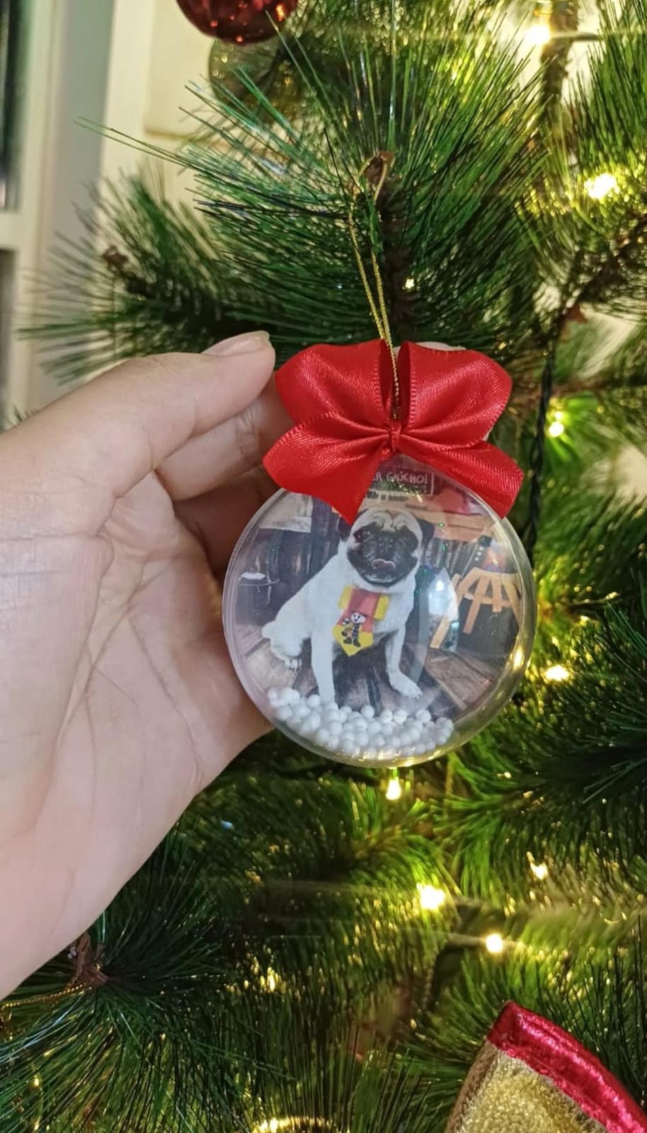 Bola de Natal transparente com foto de um cachorro pug, bolinhas de neve e laço vermelho, pendurada na árvore